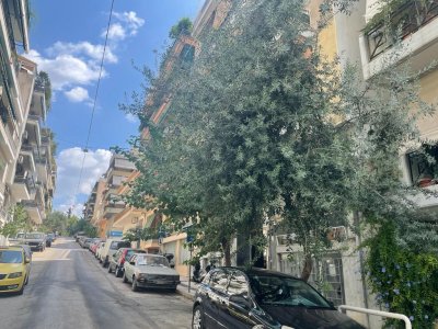 WhatsApp Image 2023-09-08 at 12.16.58